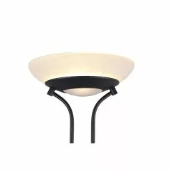 Reality Orson Stehleuchte LED Schwarz, 2-flammig -Leseleuchten Speichern reality orson stehleuchte r40073532 2