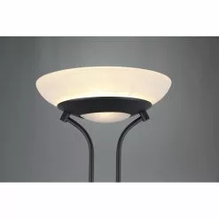 Reality Orson Stehleuchte LED Schwarz, 2-flammig -Leseleuchten Speichern reality orson stehleuchte r40073532 3